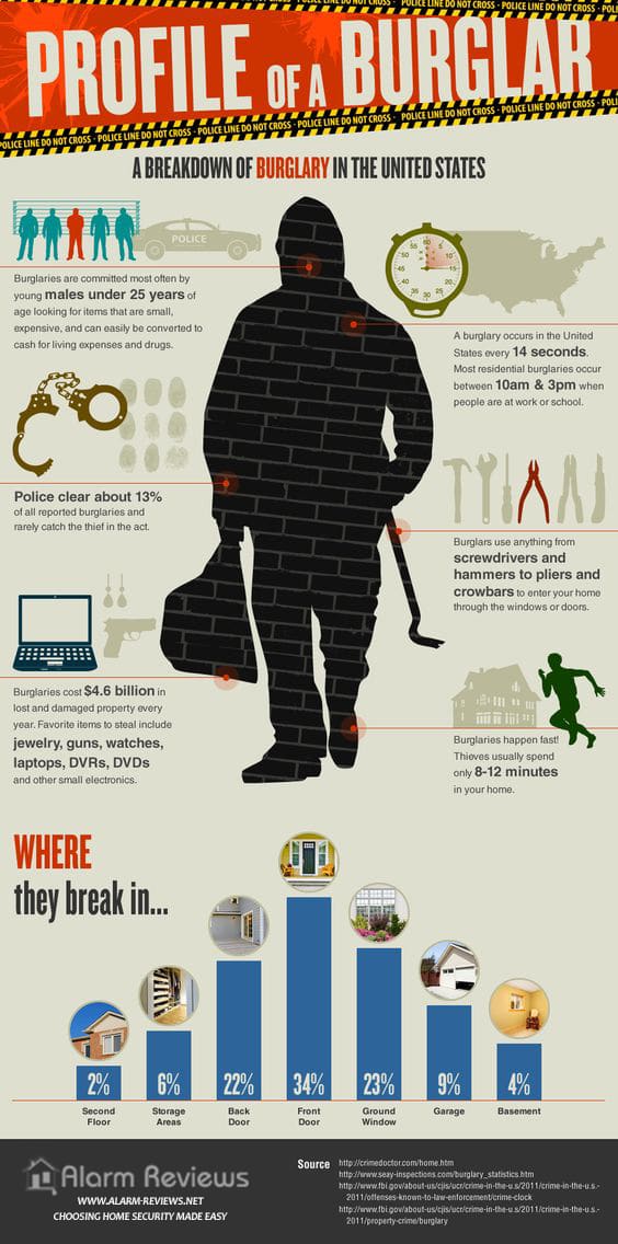 profile-of-a-burglar-security-statistics