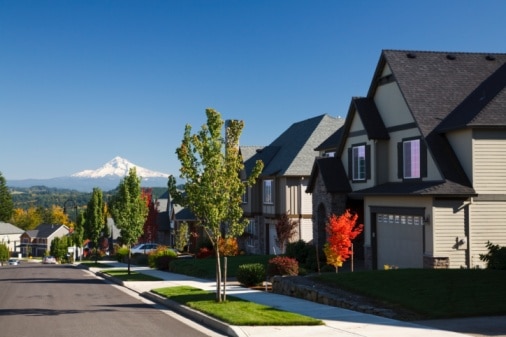 Autumn Colors Along A Street With New Homes And A View Of Mount Hood