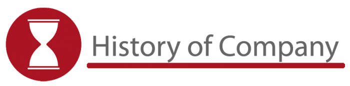 History of Company - AMP Security
