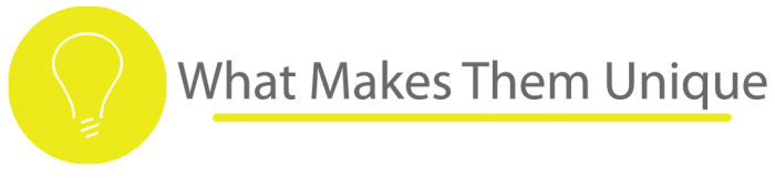 What makes Lifeshield security unique banner